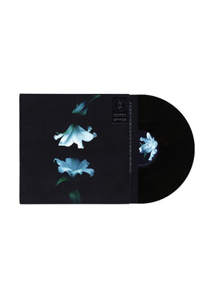 the album cover for Wasia Project - Nocturne