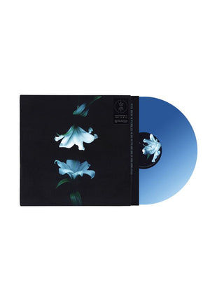 the album cover for Wasia Project - Nocturne [Indie Exclusive Blue]