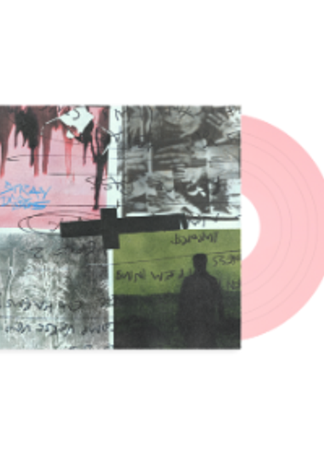 the album cover for Nothing but Thieves - Stray Dogs [Pink Rose]