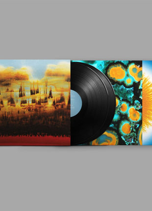 the album cover for Bonobo - Distance In Static [Black]