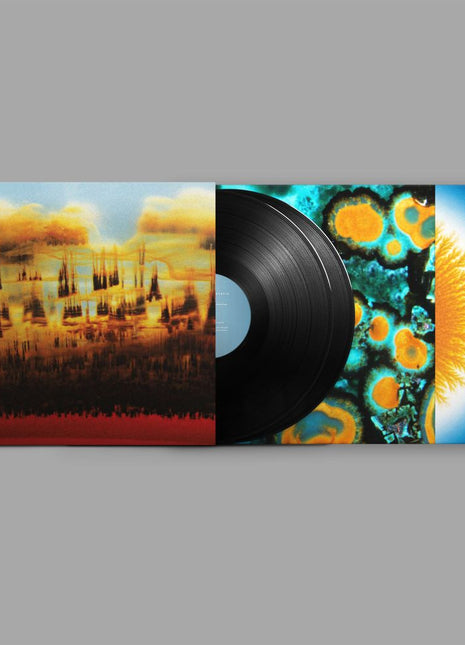 the album cover for Bonobo - Distance In Static [Black]
