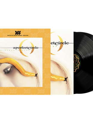 the album cover for A Perfect Circle - Thirteenth Step [Definitive Sound Series 180g]