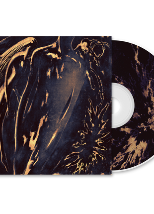 the album cover for Commoner - Former Self