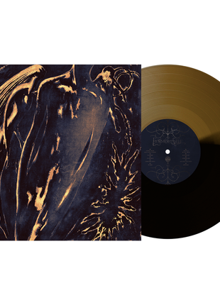 the album cover for Commoner - Former Self [Black Ice / Gold]
