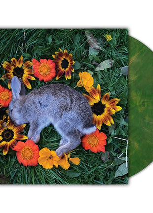 the album cover for Monolord - Your Time to Shine [Copper Emerald]