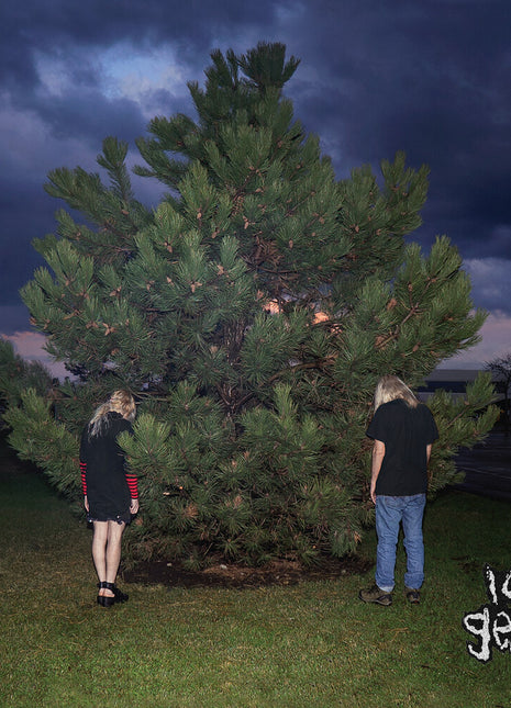 the album cover for 100 Gecs - 1000 Gecs (Mod)