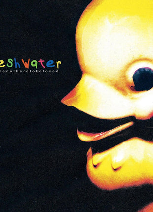 the album cover for Fleshwater - We're Not Here To Be Loved