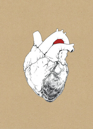 Swans - The Beggar (Vinyl) (New (N))