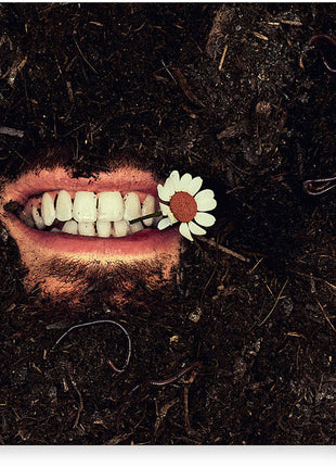 the album cover for Hozier - Unreal Unearth