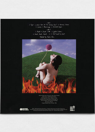 Paula Cole - This Fire (Vinyl) (New (N))