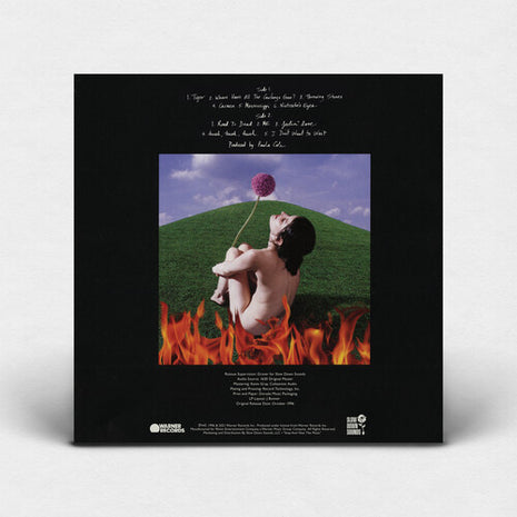 Paula Cole - This Fire (Vinyl) (New (N))