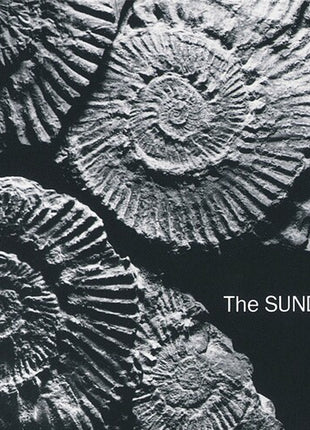The Sundays - Reading, Writing, And Arithmetic (Vinyl) (New (N))
