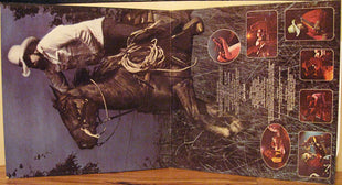 The Charlie Daniels Band : Nightrider (LP, Album)