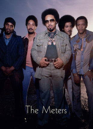 The Meters - Now Playing (Vinyl) (New (N))