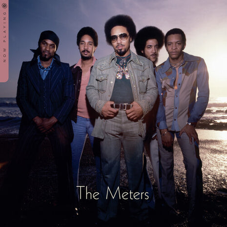 The Meters - Now Playing (Vinyl) (New (N))