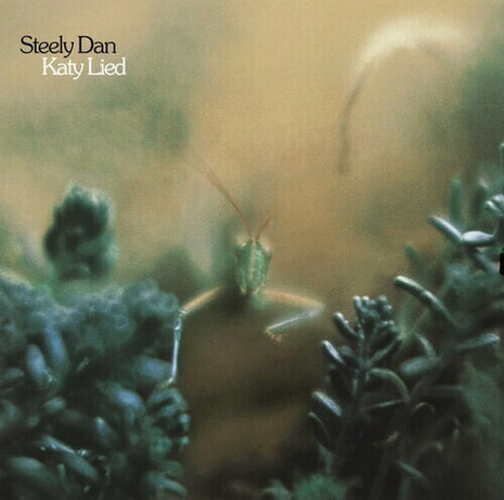 Steely Dan - Katy Lied (Vinyl) (New (N))