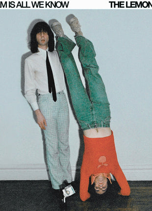 the album cover for Lemon Twigs - Dream Is All We Know