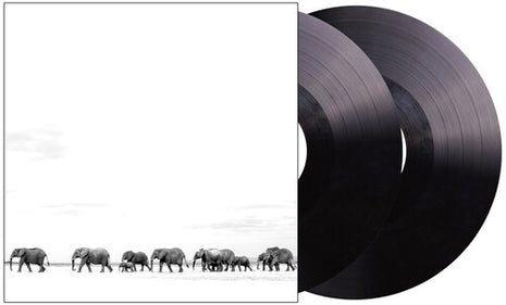 Dave Matthews - Where Are You Going: The Singles (Vinyl) (New (N))