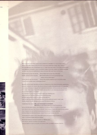 Sting : The Dream Of The Blue Turtles (LP, Album)