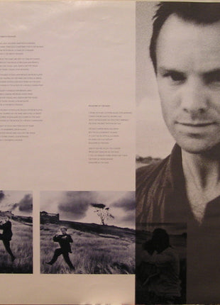 Sting : The Dream Of The Blue Turtles (LP, Album)