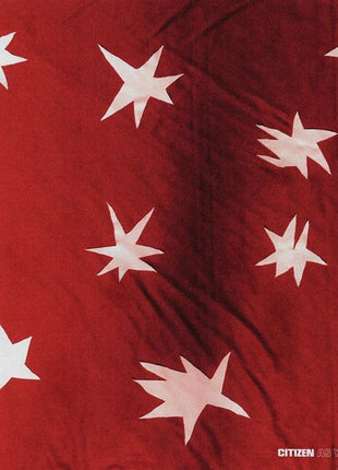 Citizen - As You Please (Vinyl) (New (N))