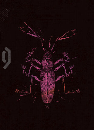 Clipping - Dead Channel Sky - Ghostly Green (Vinyl) (New (N))