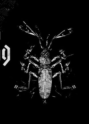 Clipping - Dead Channel Sky - Ghostly Green (Vinyl) (New (N))