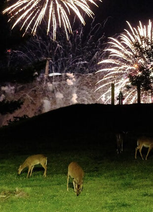 Home Is Where - Hunting Season - Green (Vinyl) (New (N))