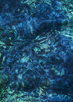 the album cover for  Ichiko Aoba - Luminescent Creatures