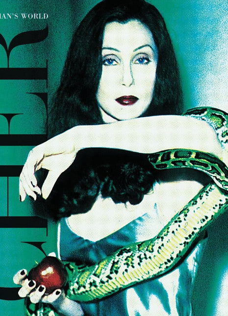 the album cover for Cher - It's A Man's World [2LP]