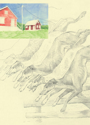 Quickly Quickly - I Heard That Noise - Green (Vinyl) (New (N))