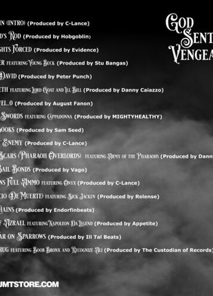 Vinnie Paz - God Sent Vengeance (Vinyl) (New (N))