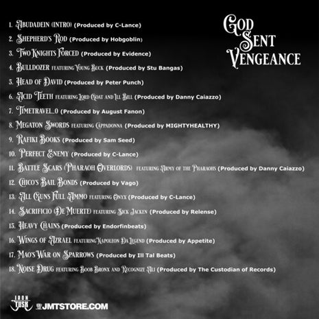 Vinnie Paz - God Sent Vengeance (Vinyl) (New (N))