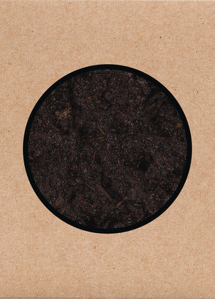 the album cover for Swans - Birthing