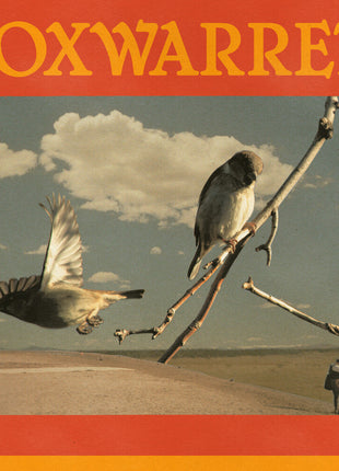 the album cover for Foxwarren - 2