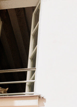 M(h)aol - Something Soft (Vinyl) (New (N))