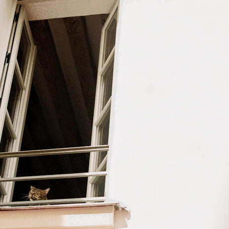 M(h)aol - Something Soft (Vinyl) (New (N))