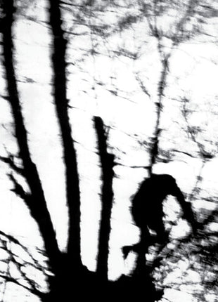 Cindytalk - Camouflage Heart (Vinyl) (New (N))