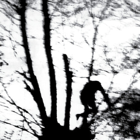 Cindytalk - Camouflage Heart (Vinyl) (New (N))