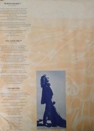 Robert Plant : Now And Zen (LP, Album, Club, Car)