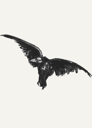 the album cover for Conan Gray - Kid Krow Decomposed (5 Year Anniversary) [Black/White Splatter LP]