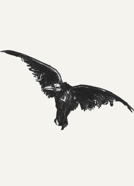the album cover for Conan Gray - Kid Krow Decomposed (5 Year Anniversary) [Black/White Splatter LP]