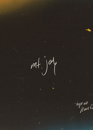 the album cover for Mt. Joy - Hope We Have Fun [180g Coyote Brown LP]