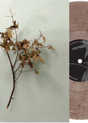the album cover for Copeland - In Motion [Colored Vinyl] (Aniv)