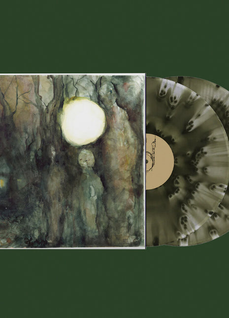 the album cover for Quadeca - Didn't Mean To Haunt You [Colored Vinyl] (Grn)