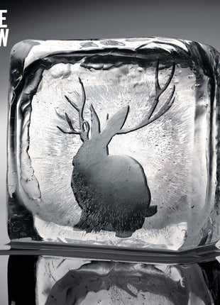 the album cover for Miike Snow - Miike Snow