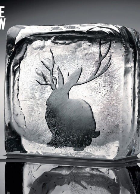 the album cover for Miike Snow - Miike Snow
