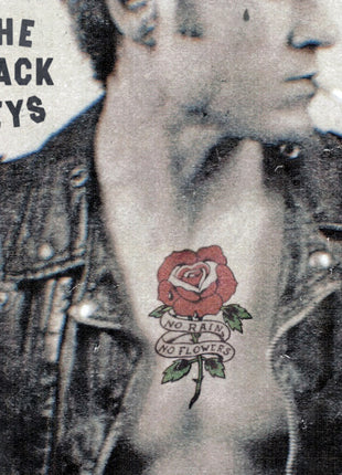 the album cover for The Black Keys - No Rain, No Flowers [Indie Exclusive Ruby Red LP]