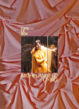 the album cover for Cate Le Bon - Michelangelo Dying