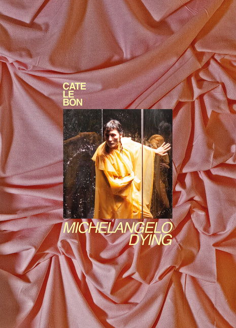 the album cover for Cate Le Bon - Michelangelo Dying